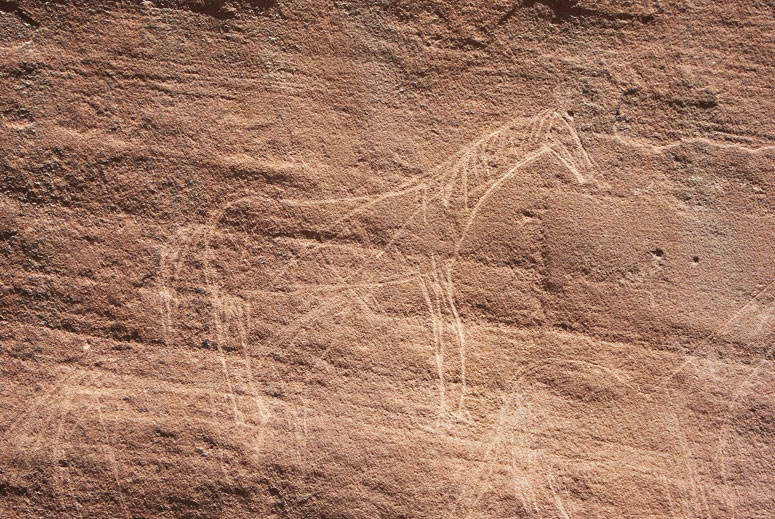 Navajo Petroglyphs